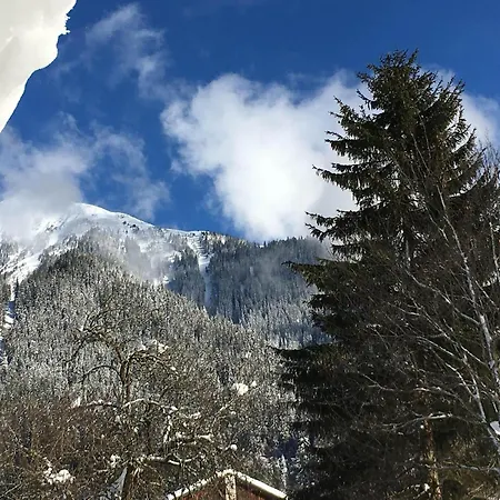 Holiday home Zamanger Huesli Sankt Gallenkirch